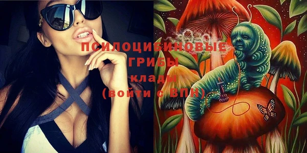 гидропоника Арсеньев